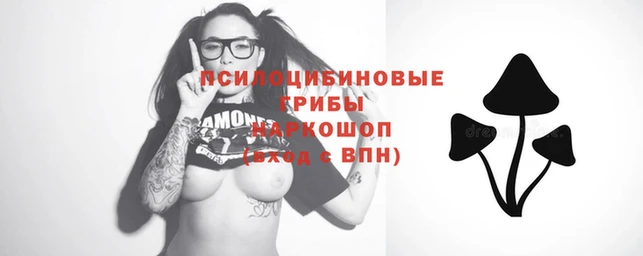 бошки Алзамай
