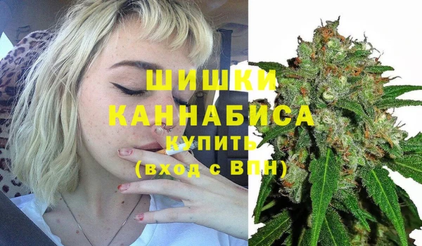 спайс Алексин