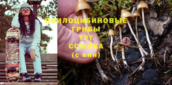 бошки Алзамай
