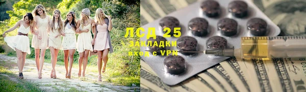 индика Алексеевка