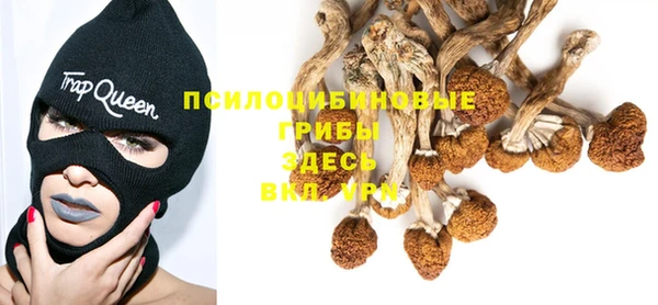 бошки Алзамай