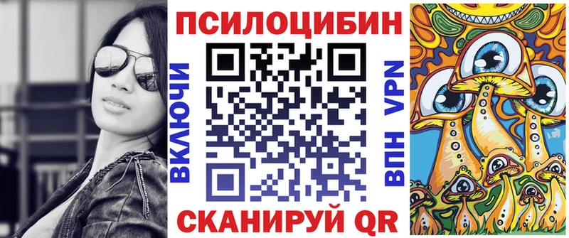OMG как войти  Спасск-Рязанский  Галлюциногенные грибы MAGIC MUSHROOMS 
